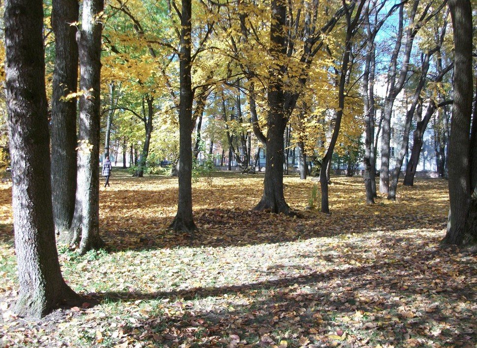 Дыхание осени - Галина Бобкина