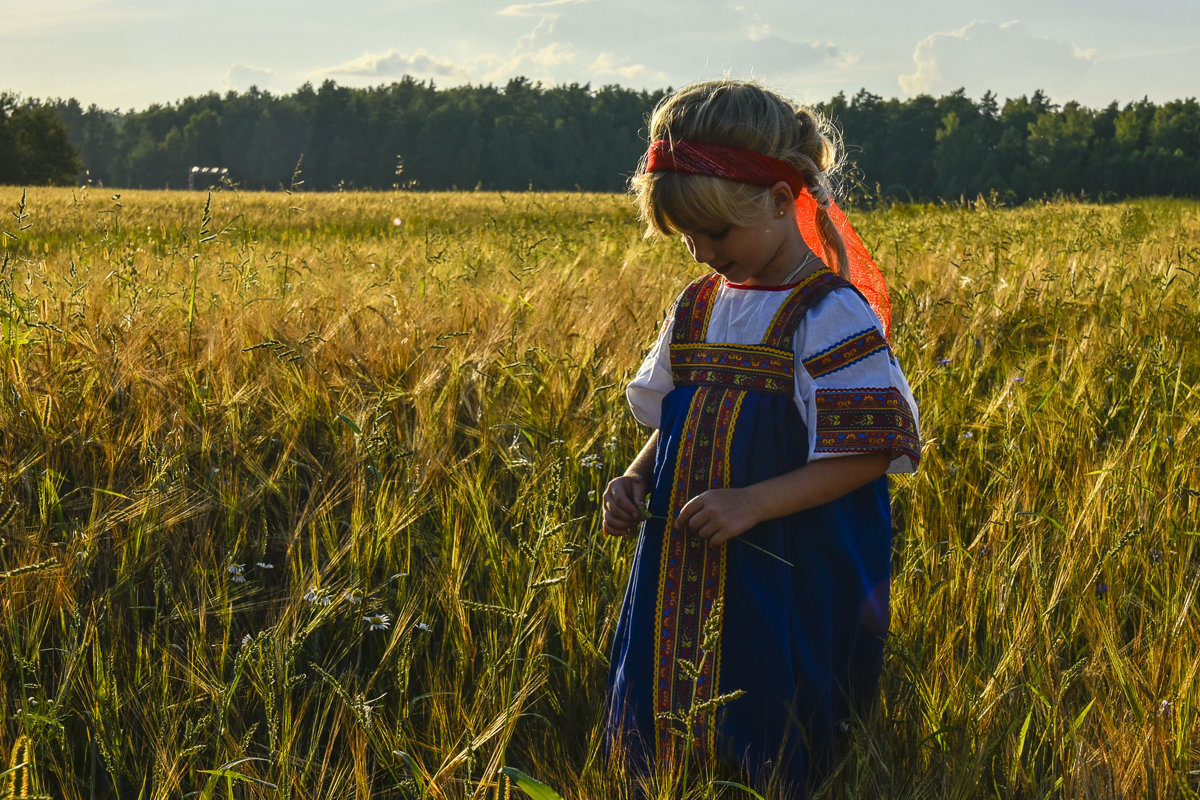 Алиса и поле - Андрей Крючков