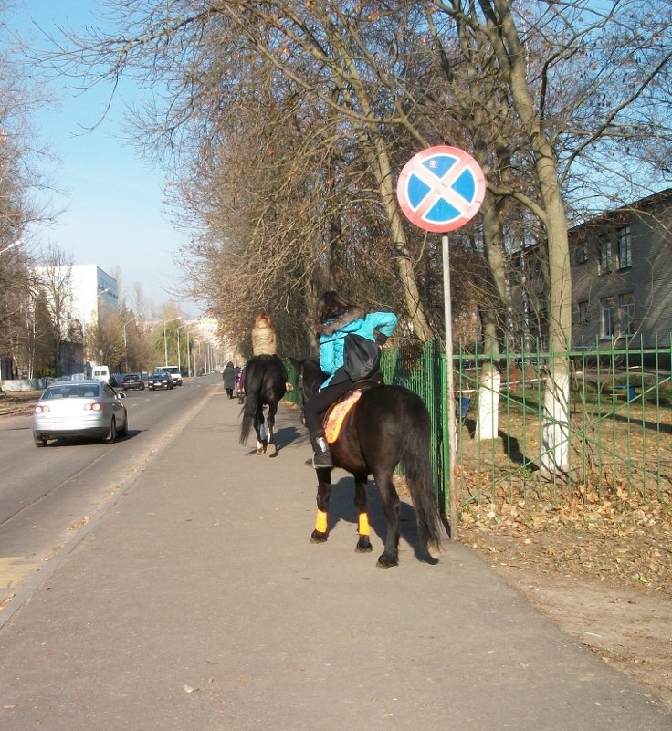 По улицам слона (зачёркнуто) коня водили, как будто напоказ) - Галина Бобкина