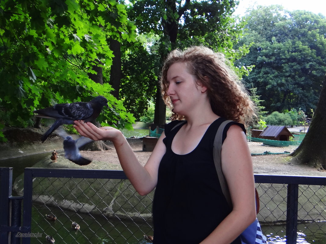 Ручные голуби в зоопарке. - Антонина Гугаева
