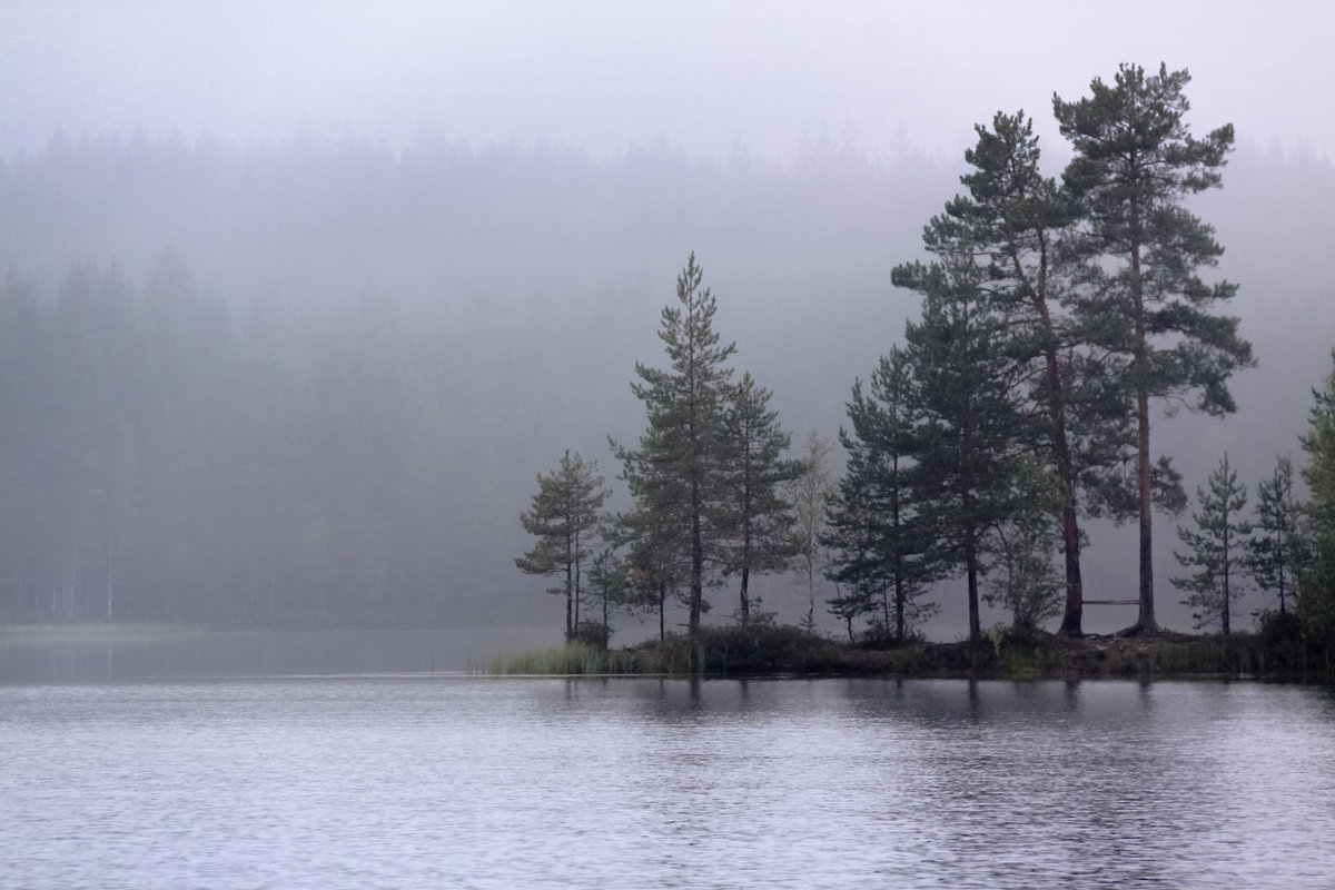 Лесное озеро - Владимир Миронов