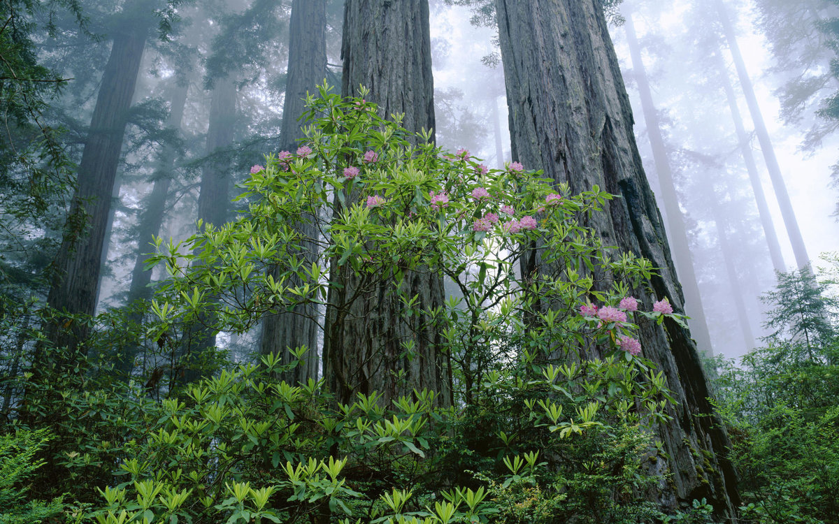 forest - ~ Backstage ~ N.