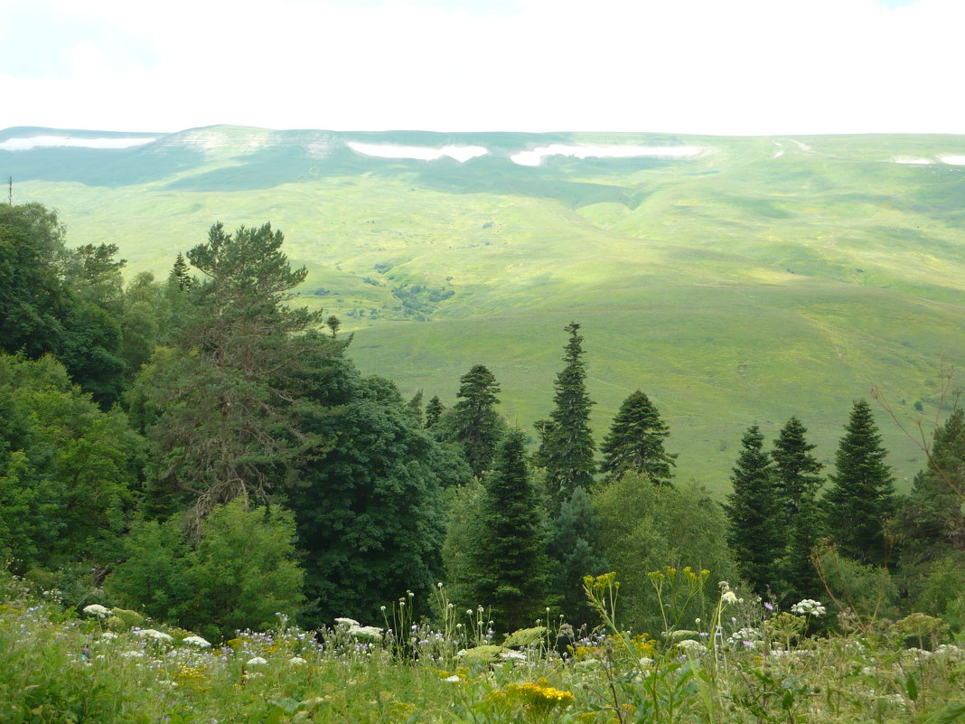 Адыгея. Плато Лаго-Наки. Лето - Надежда 