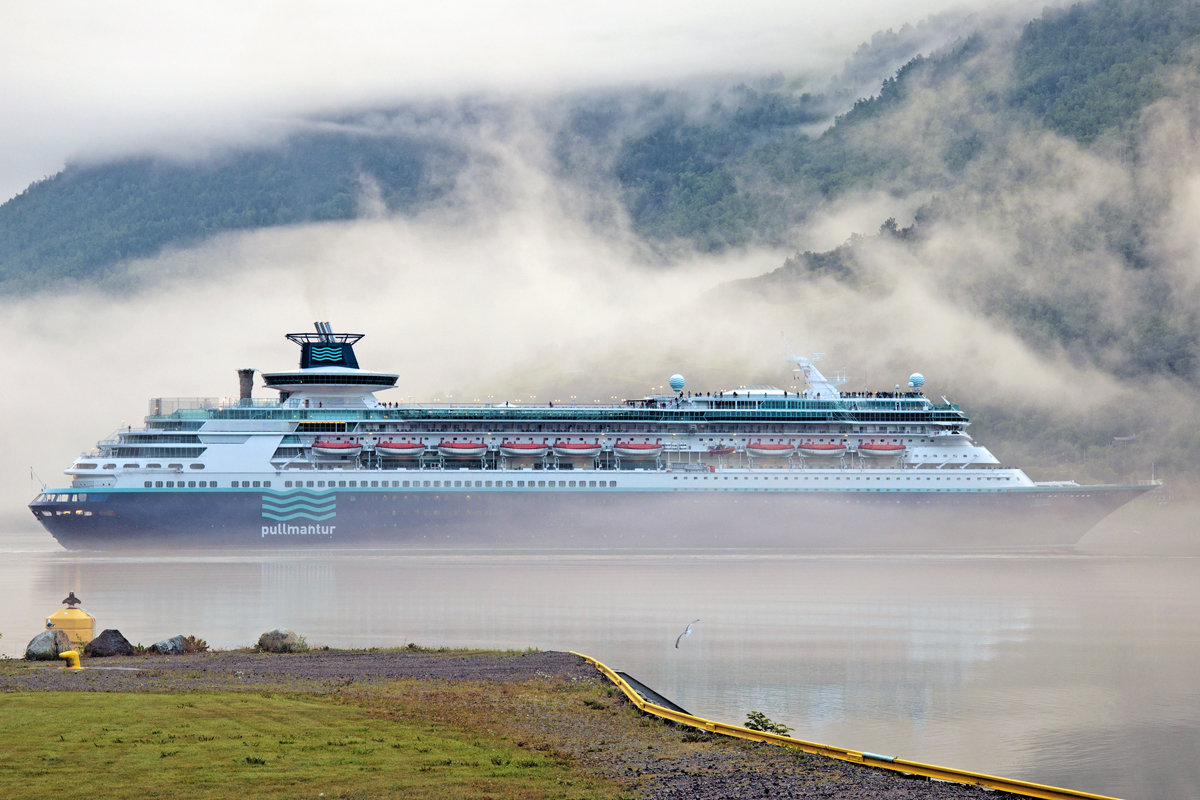 Ocean Liner Flies - Roman Ilnytskyi