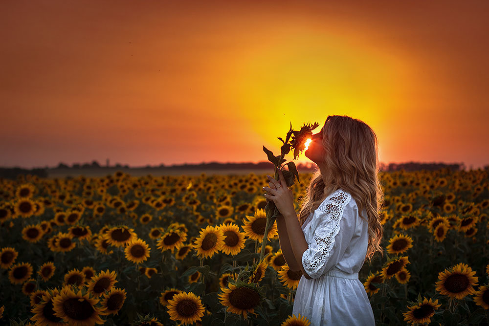 аромат солнца - Алена Колошва