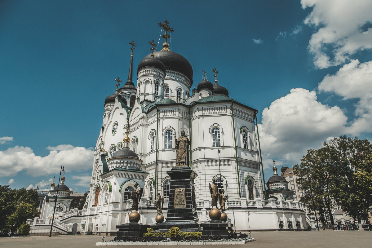 Воронежский Благовещенский собор - Лариса 