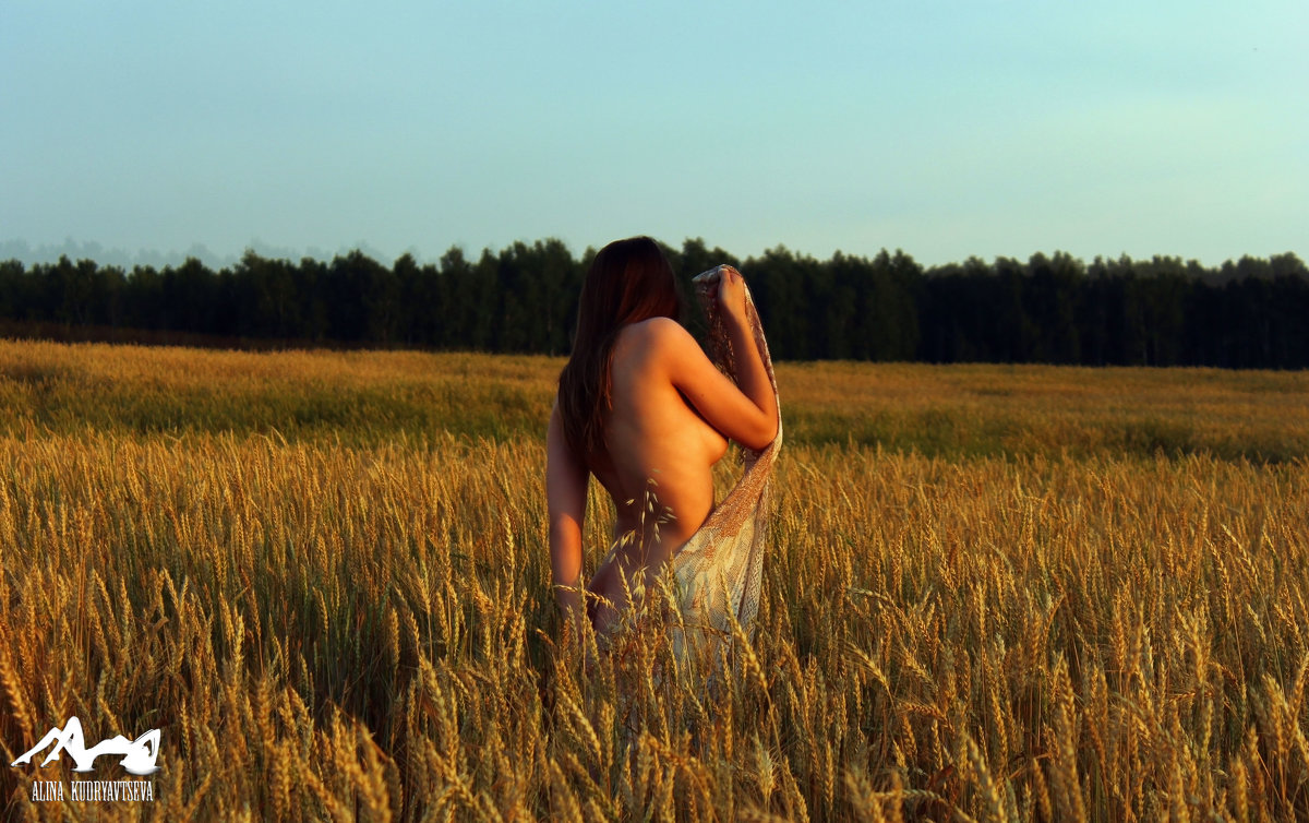 Пшеничный холм - Алина Кудрявцева