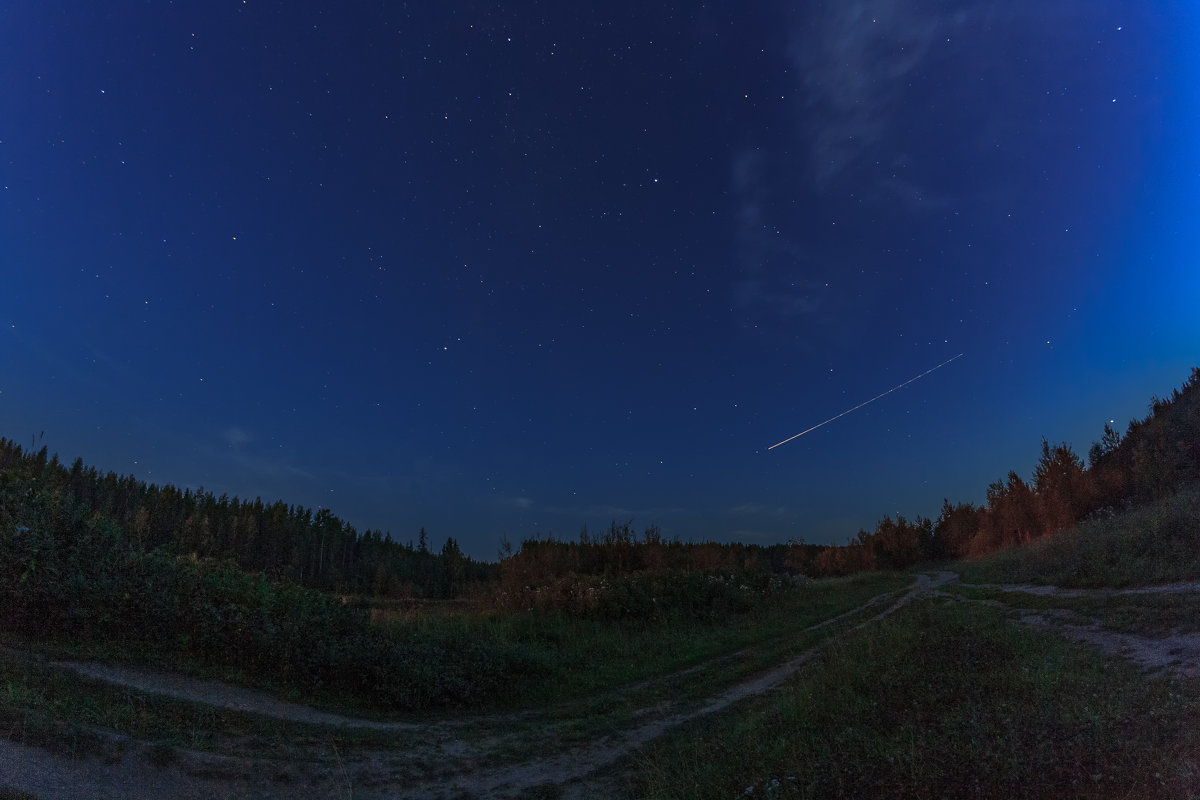 the Perseids - Aleksandr Tishkov