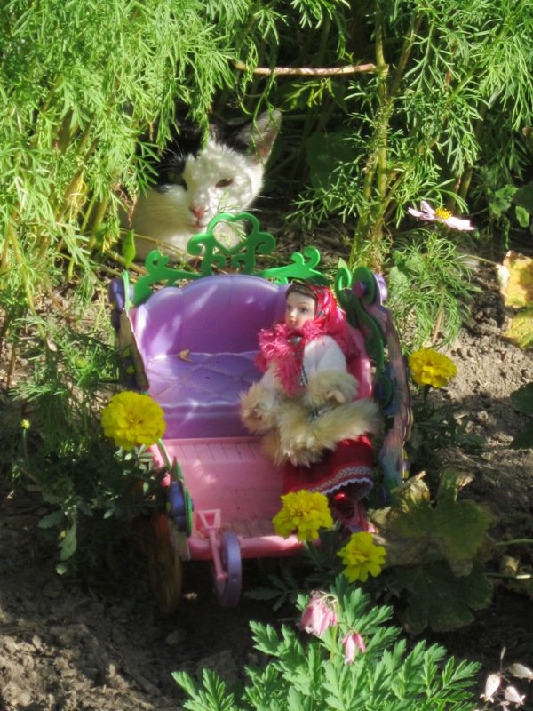 Кукла в санях и кошка в цветах - Дмитрий Никитин
