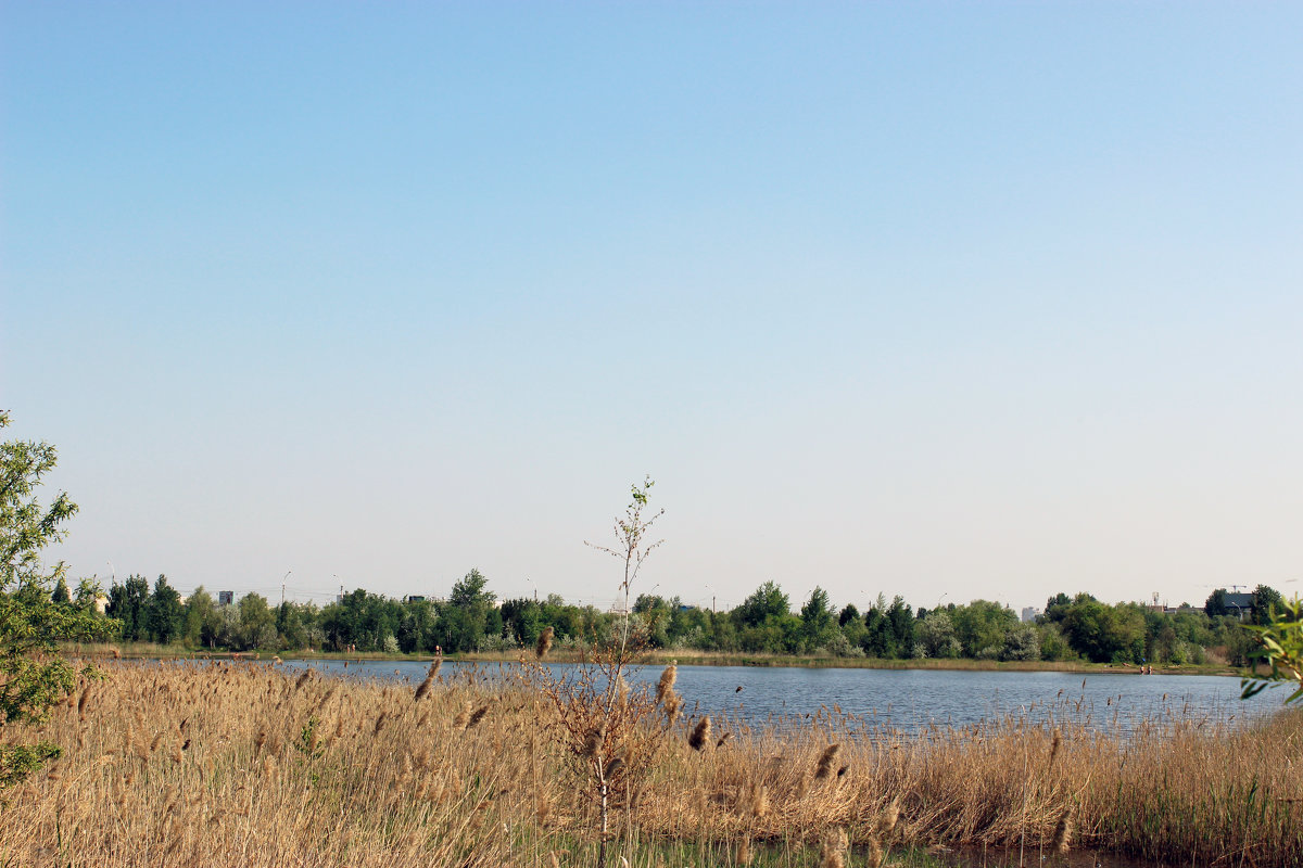 Озеро в черте города - раиса Орловская