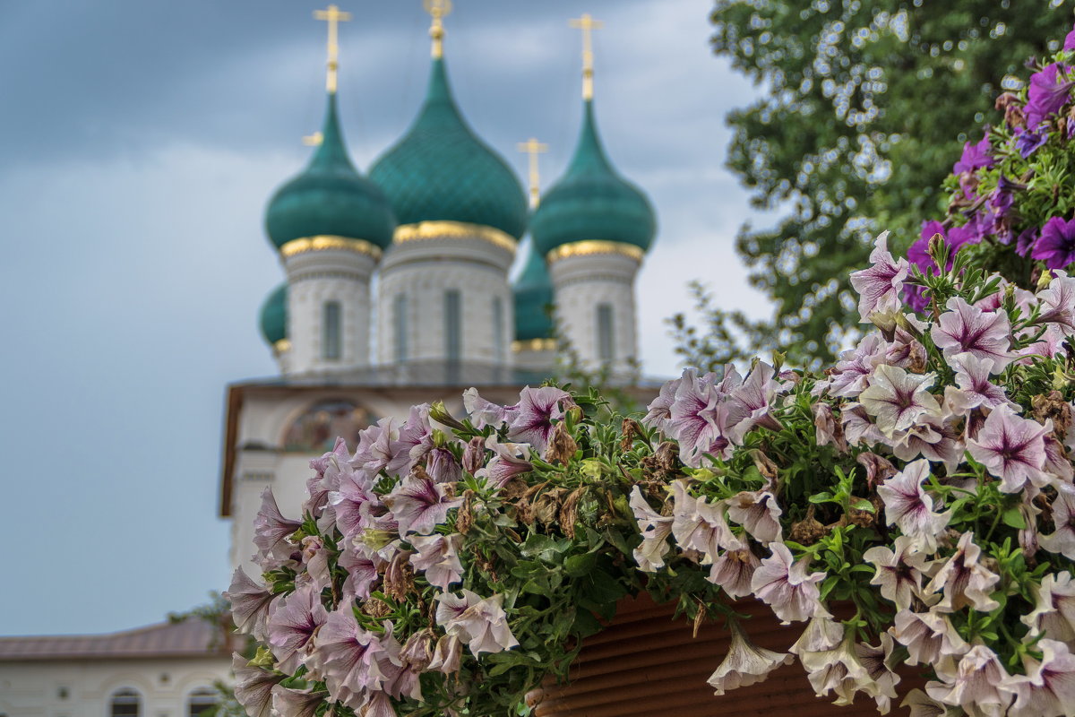 Завяли - Alexandr Яковлев