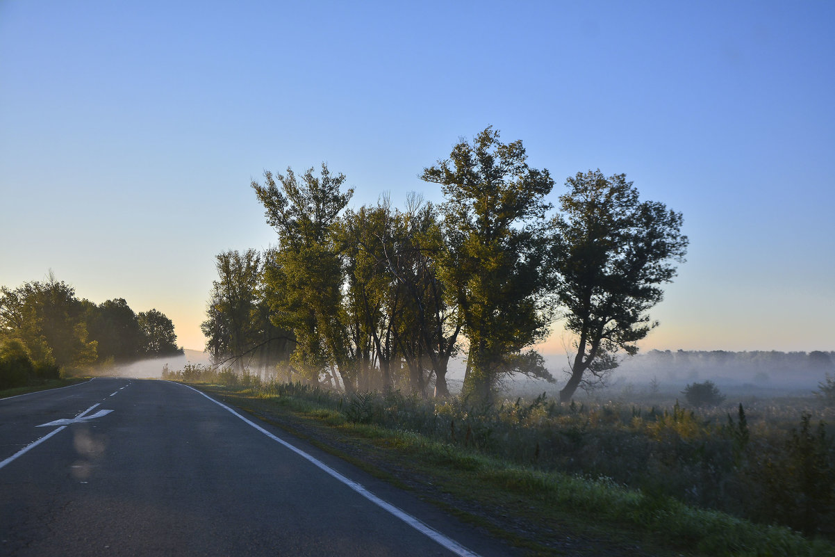 Туманное утро в дороге - юрий Амосов
