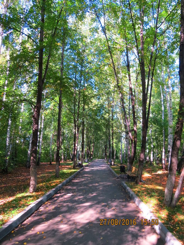 в парке - ОКСАНА ЮРЬЕВНА ШВЕЦ