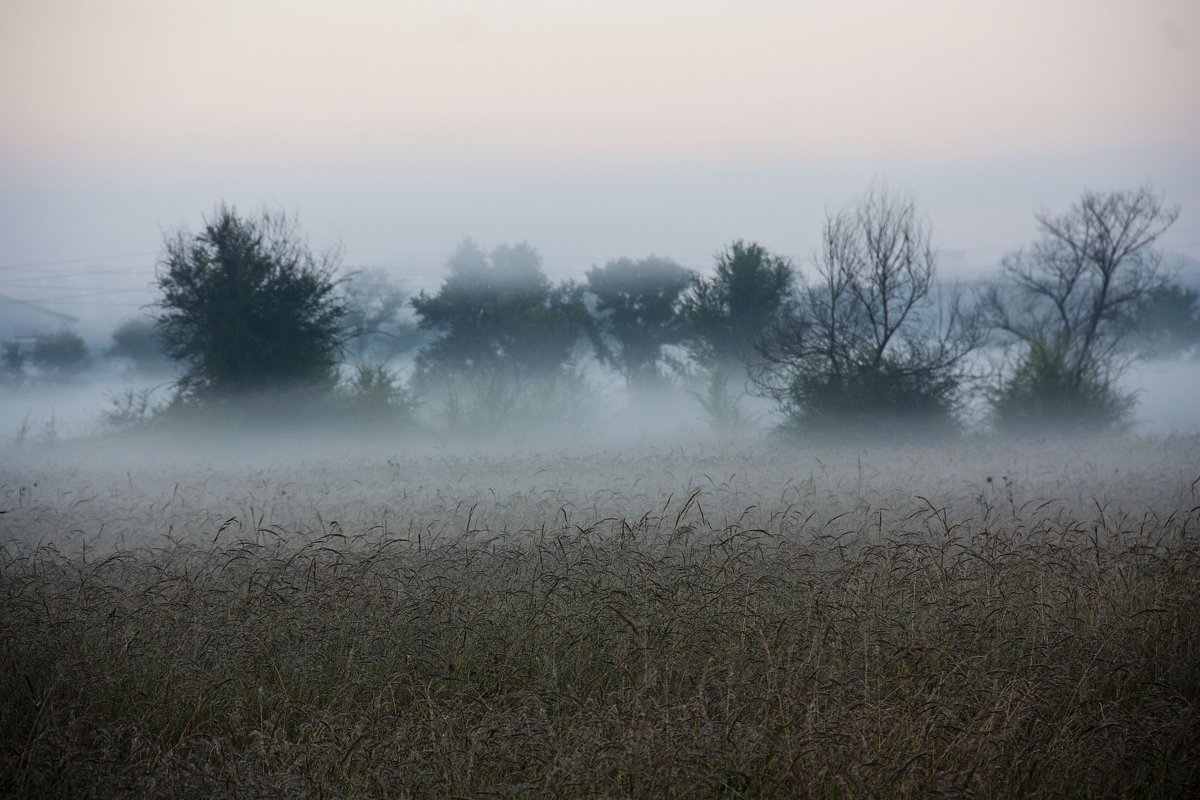 Утренний  туман - Виктор 