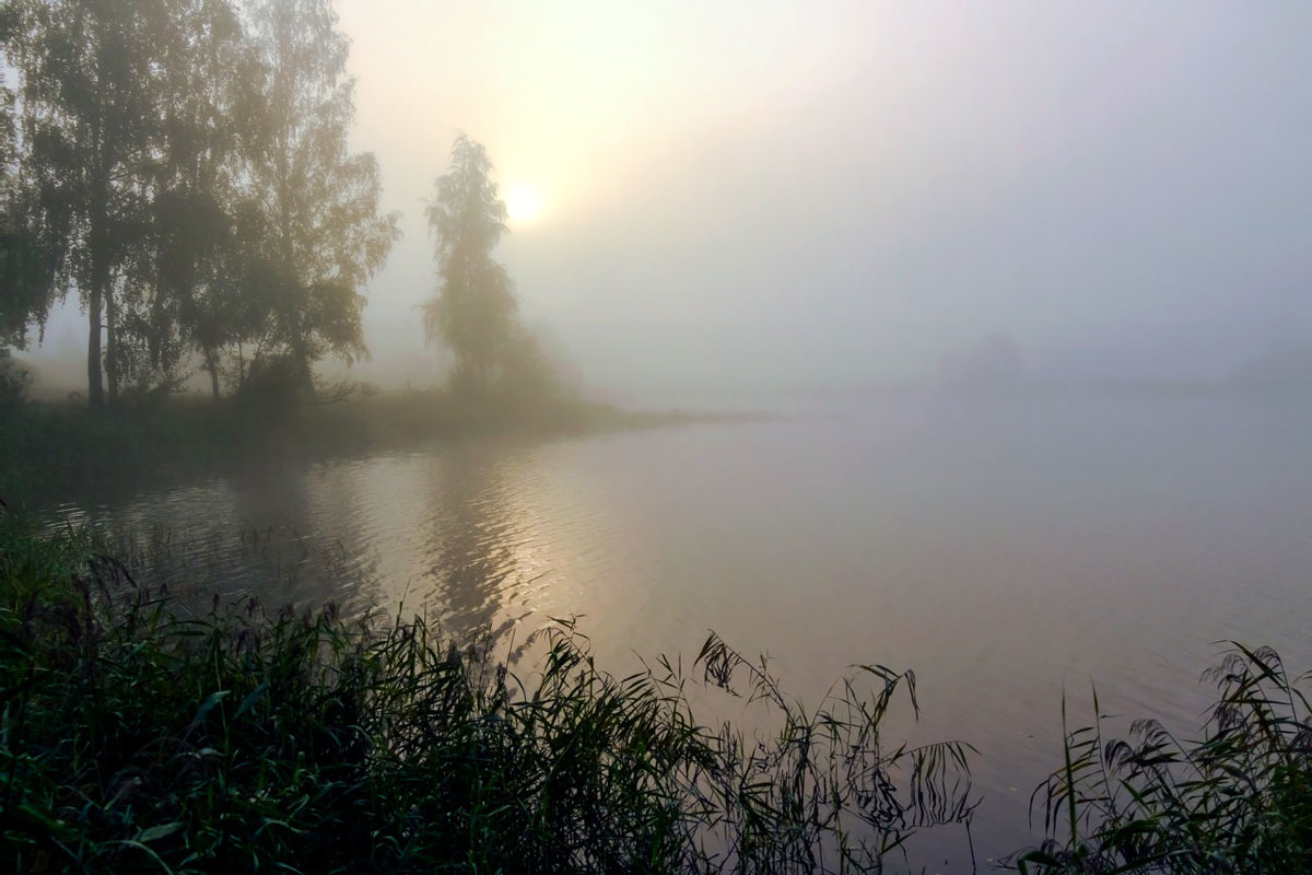 Утро туманное - Владимир Миронов