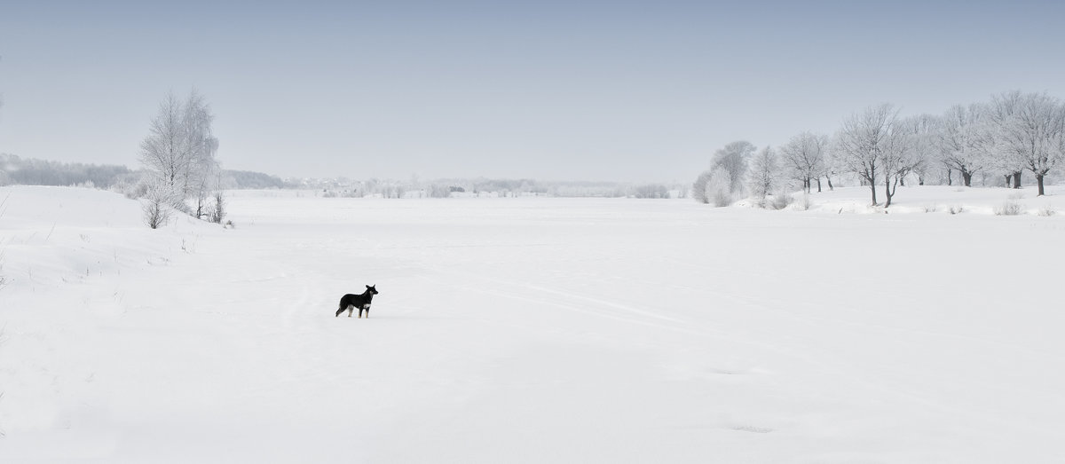 Скоро уже... (Работа над ошибками:http://fotokto.ru/id154309/photo?album=58712#photo3869580 ) - Фёдор Куракин