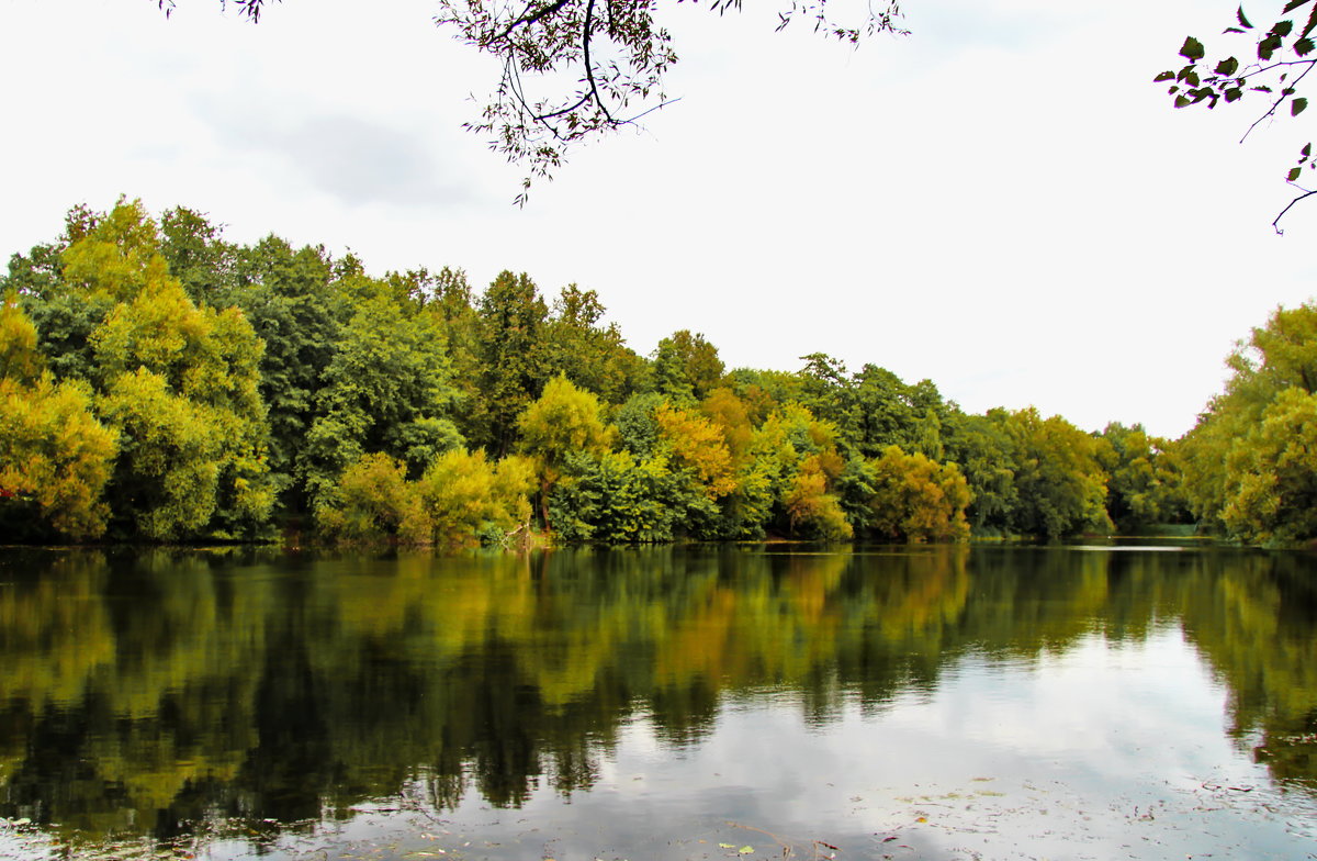 Осень отражается в воде. - Маргарита ( Марта ) Дрожжина