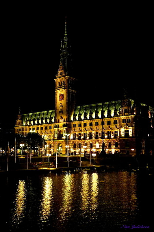 Hamburg. Rathaus - Nina Yudicheva