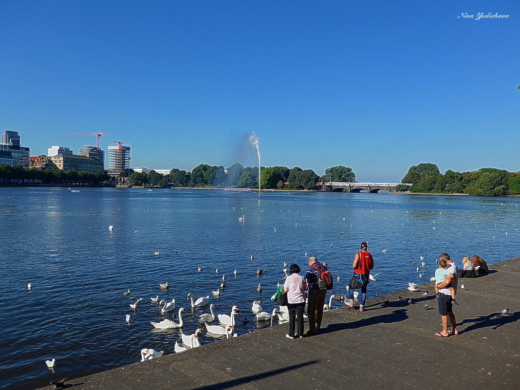 Alster. Hamburg - Nina Yudicheva