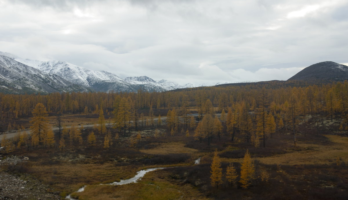 *** - Александр Хаецкий