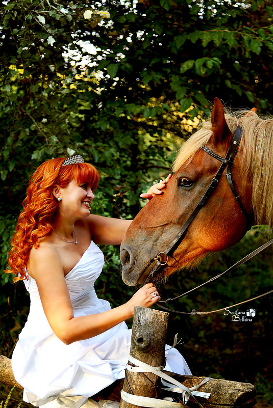 Прогулка с лошадкой - Светлана Белкина