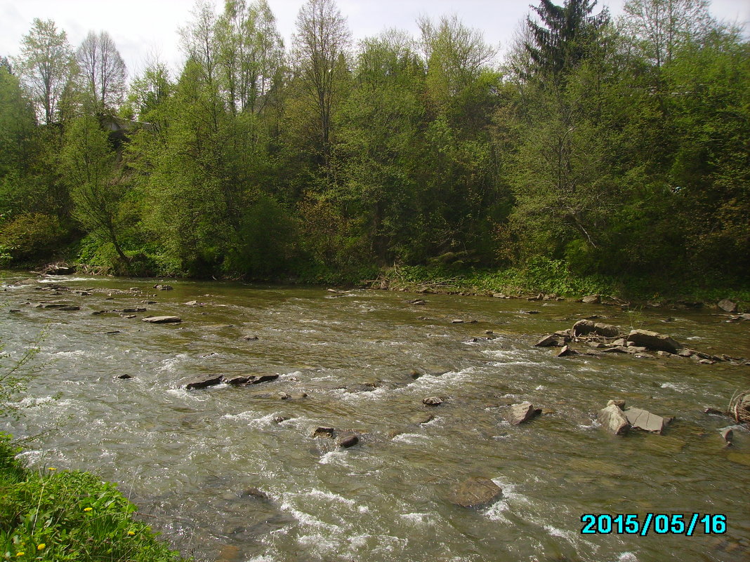 Горная   река   в   Ворохте - Андрей  Васильевич Коляскин