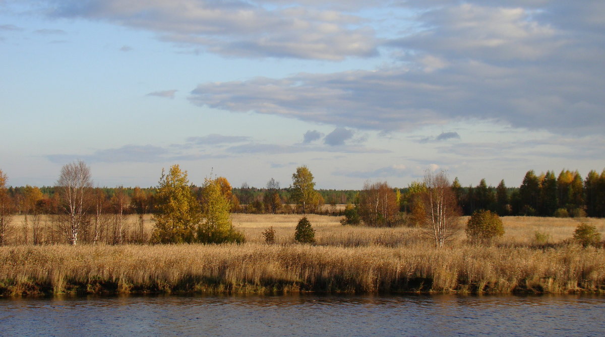 Осень - Елена Перевозникова