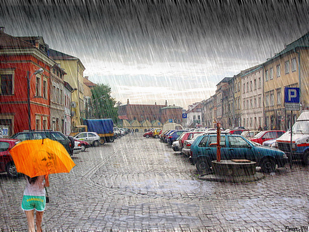 Варшавский дождь - Андрей Щетинин