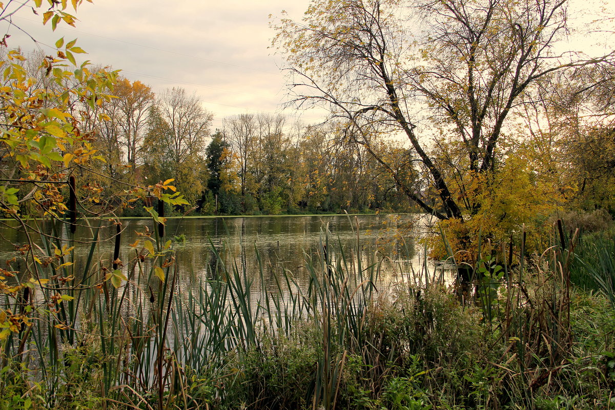 *** - marina-rosinka2 