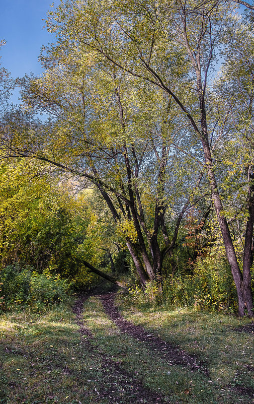 В осеннем лесу - Марк Э