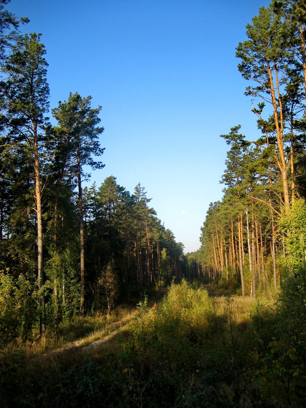 НОВОСИБИРСК - ОКСАНА ЮРЬЕВНА ШВЕЦ