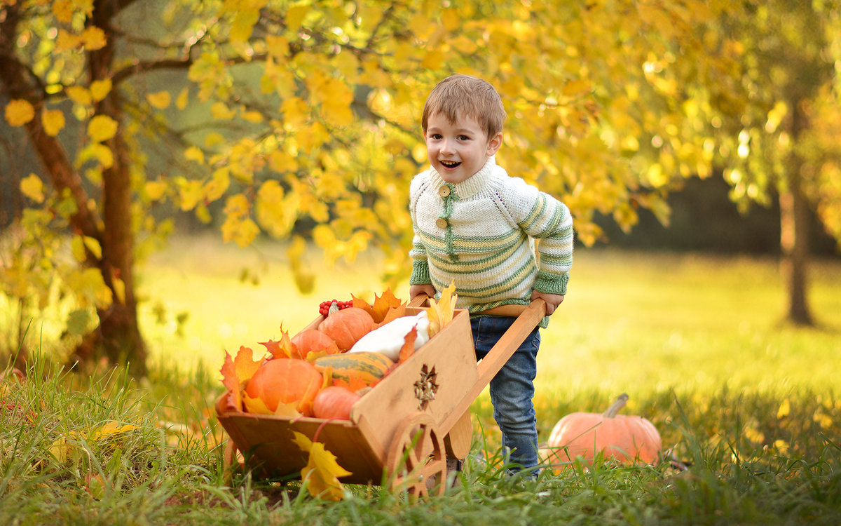 Осенний урожай для детей