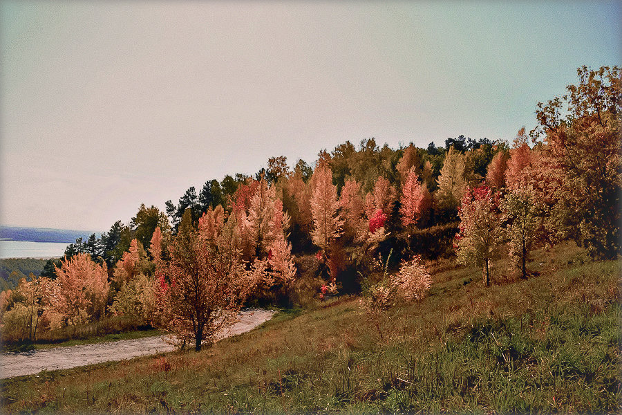 *** - Лариса Димитрова