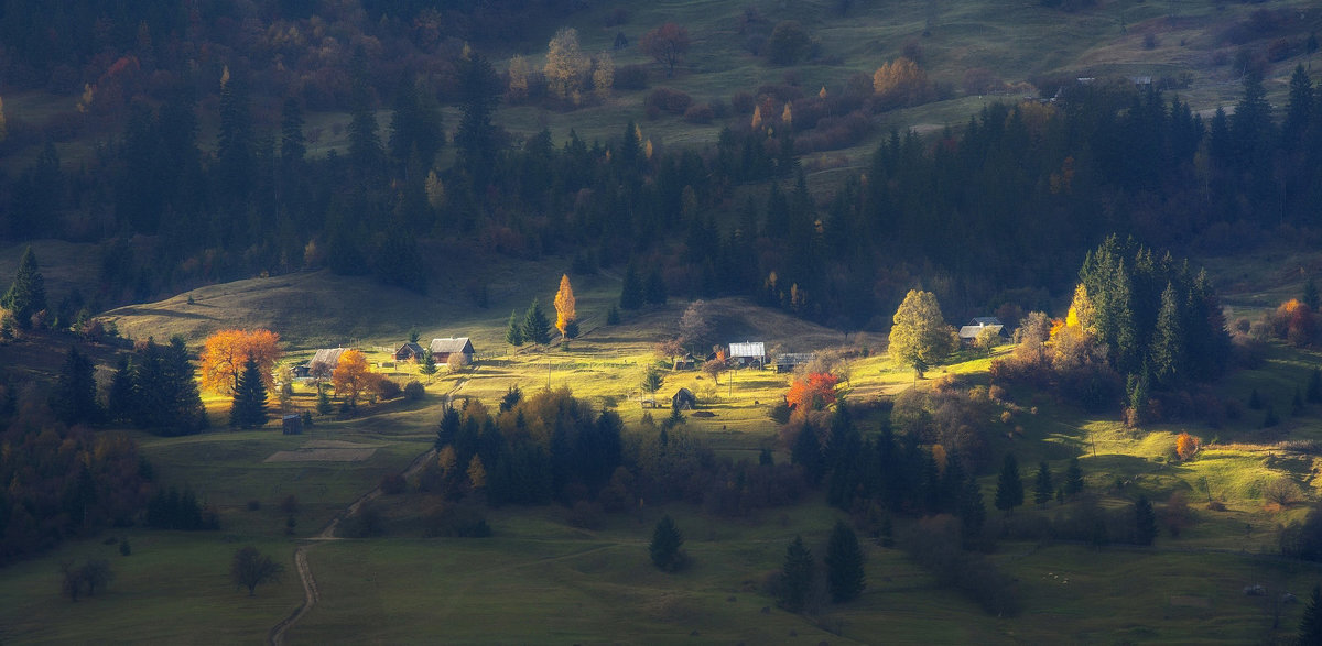 *** - Андрій Кізима