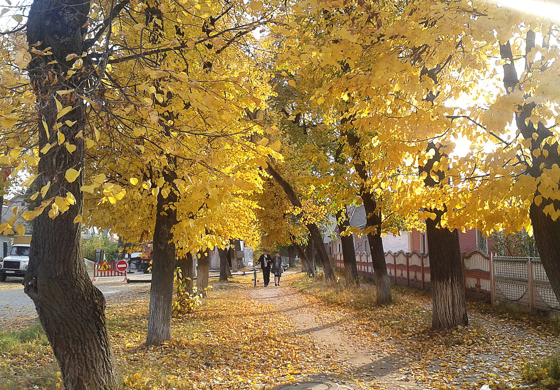 *** - Валентина Береснева