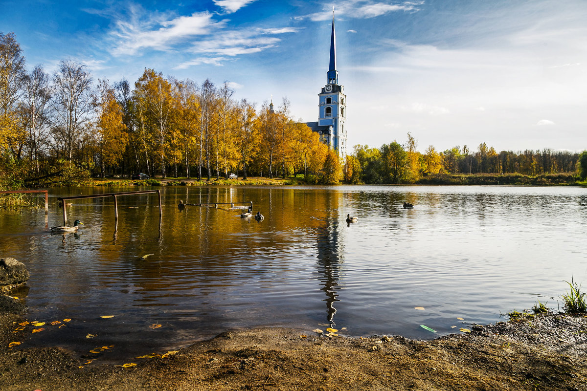 Осенний пейзаж на пруду. - Алла ************