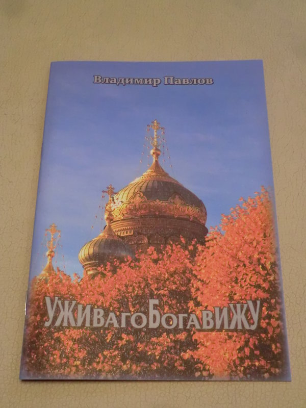 Самый короткий палиндромный роман "УживагоБогавижУ"... - Владимир Павлов