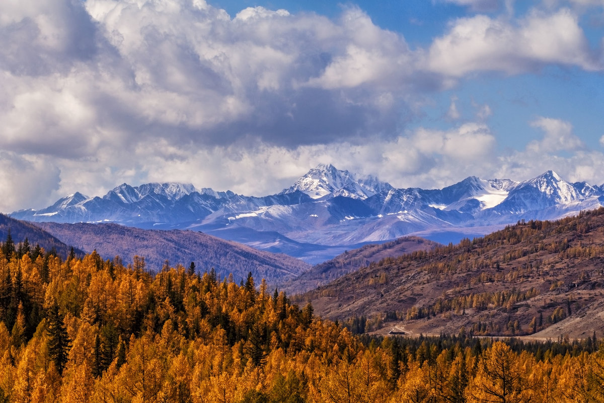 Осень в горах Алтая - Галина Шепелева
