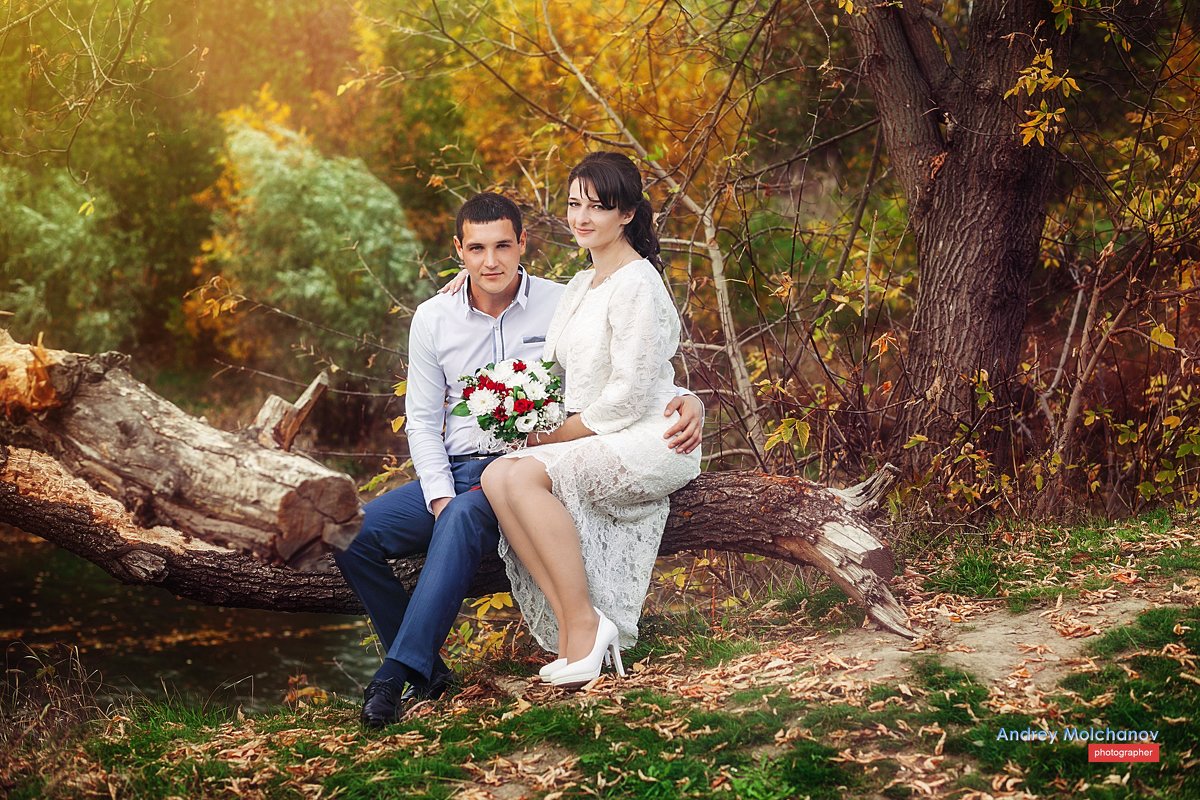 Свадьба Ивана и Ксении - Андрей Молчанов