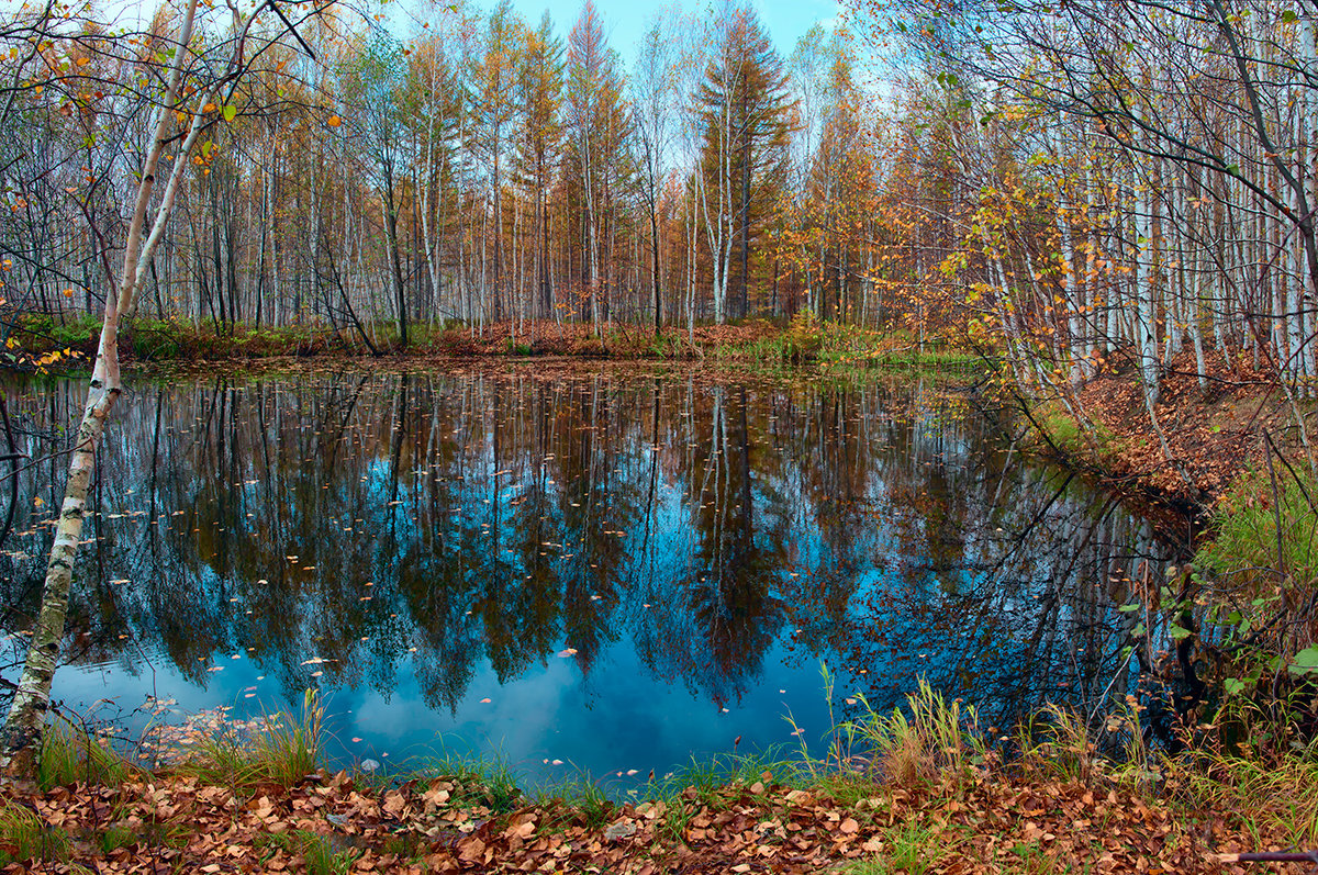 Осень - Поток 