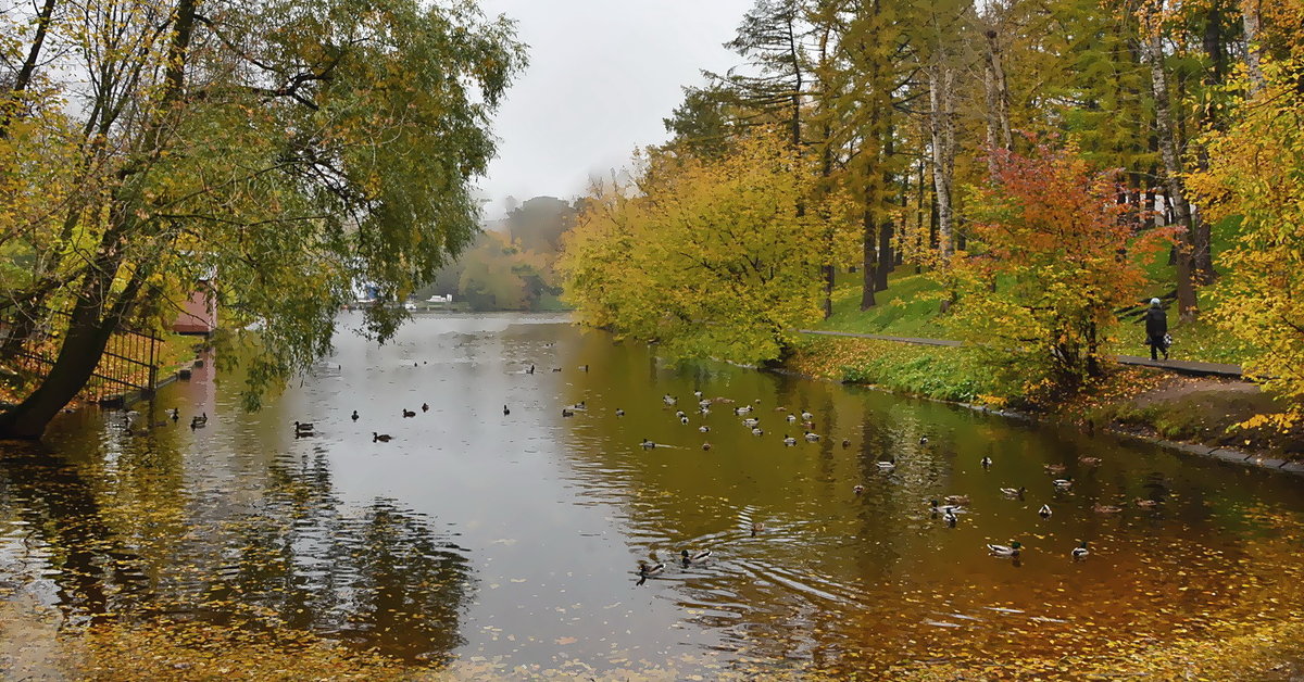 Осенний пейзаж - Анастасия Смирнова