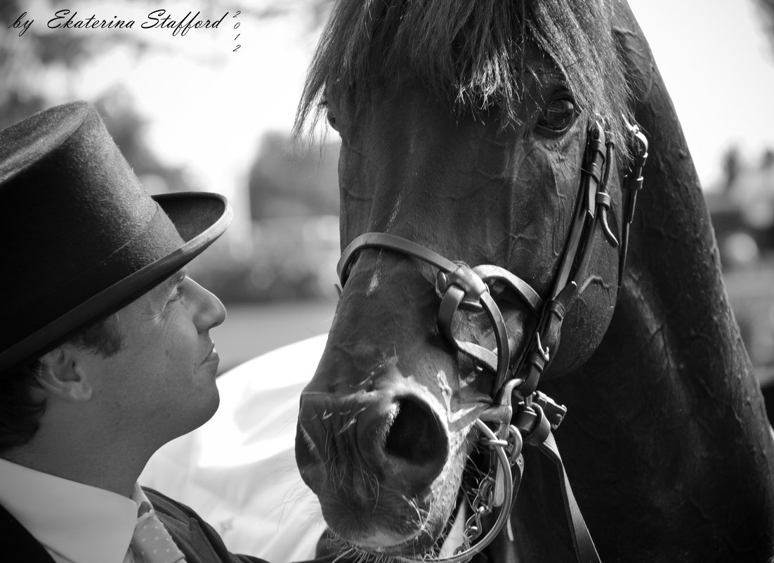 Королевские Скачки. Royal Ascot 2012 (9) - Ekaterina Stafford