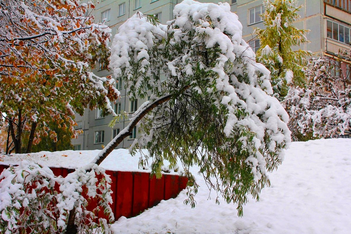 Фотопроект Снежные фонтаны - Наталья Золотых-Сибирская