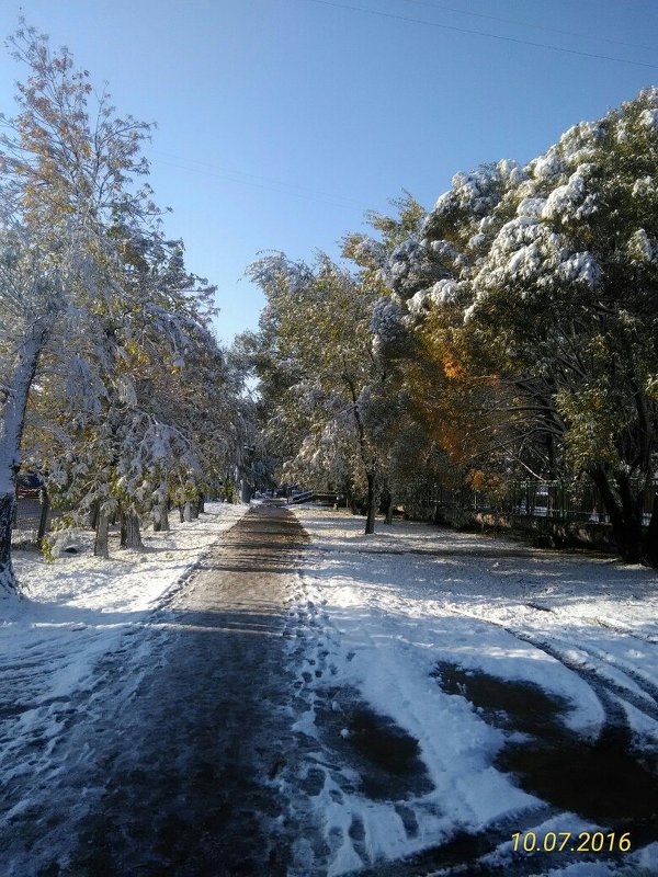 Осень всё проспала, а зима не дремлет - Олег Отт