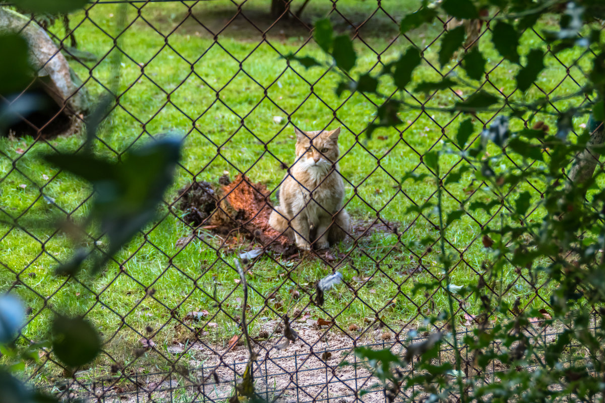 Wildpark Düsseldorf - Witalij Loewin