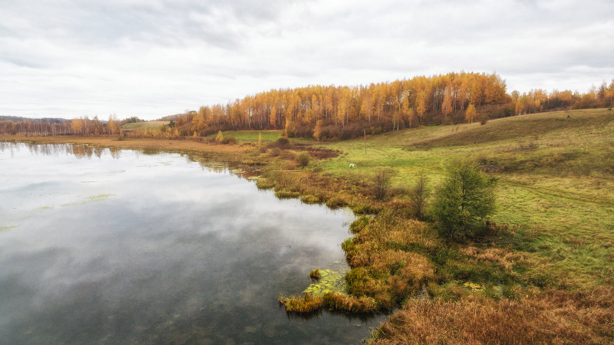 Лебединое озеро - Дмитрий Погодин