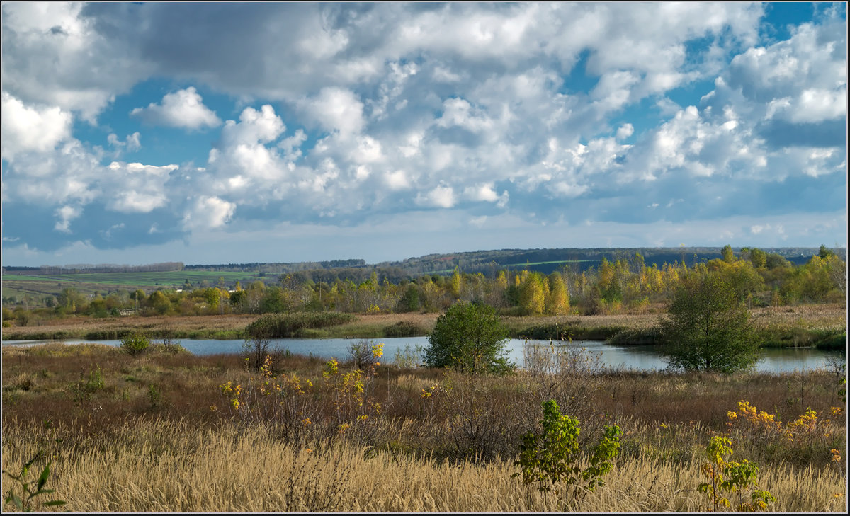 *** - Александр Лихачёв