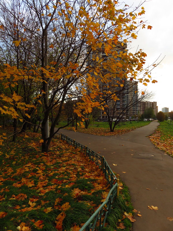 Москва октябрьская - Андрей Лукьянов