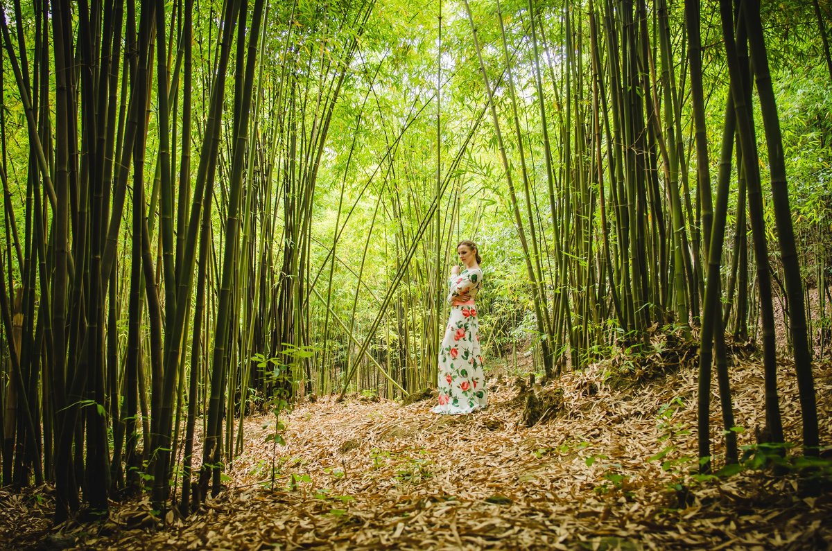 Фотосессия в бамбуковом лесу - Pavel Shardyko