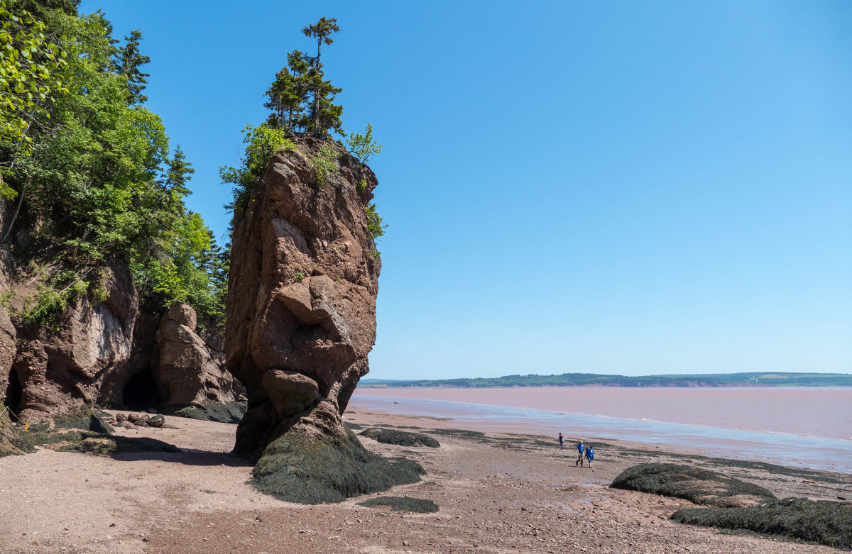 Еще одна скала во время отлива (Hopewell Cape Rocks). Канада. - Юрий Поляков